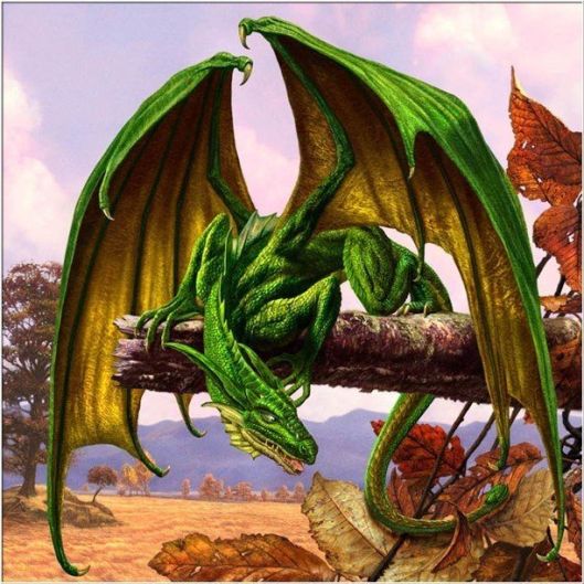 Merlin's Dragon - Paul Youll